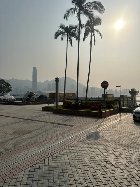 Photo from February 18, 2025